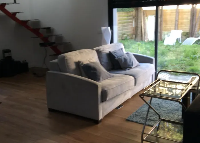 1km From Forest And For 6